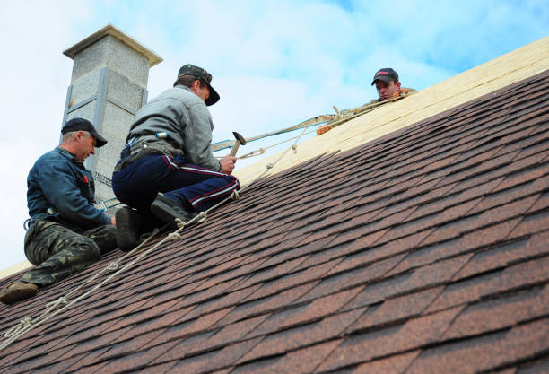 Best Storm Damage Roof Repair  in Anna, TX